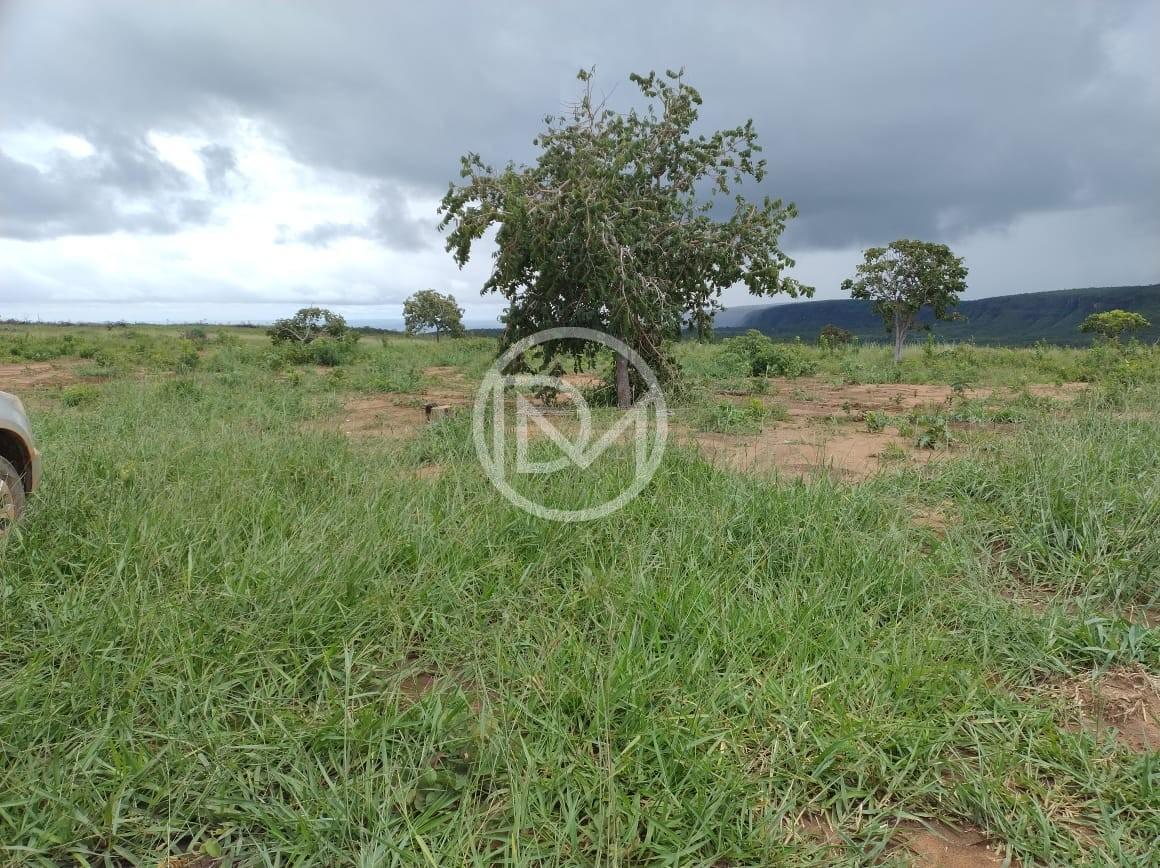 Fazenda, 2500 m² - Foto 4