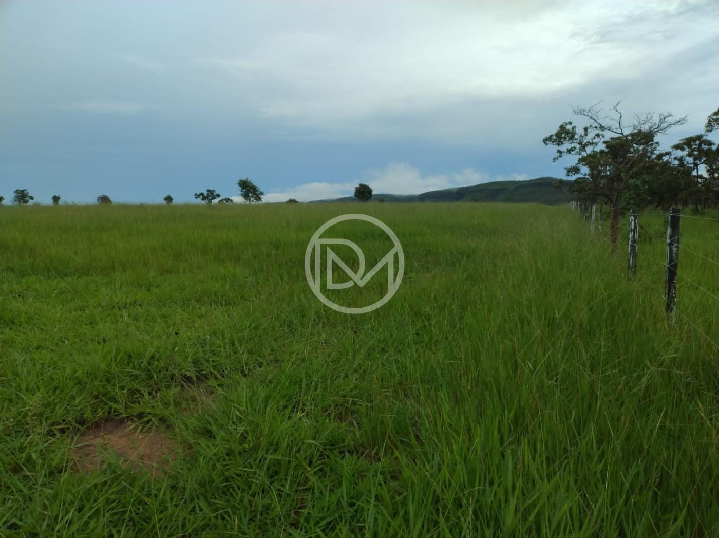 Fazenda, 2500 m² - Foto 5