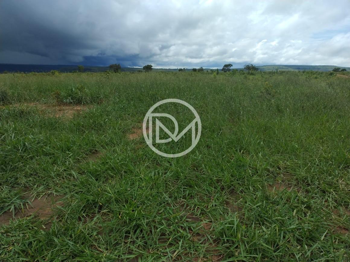 Fazenda, 2500 m² - Foto 6