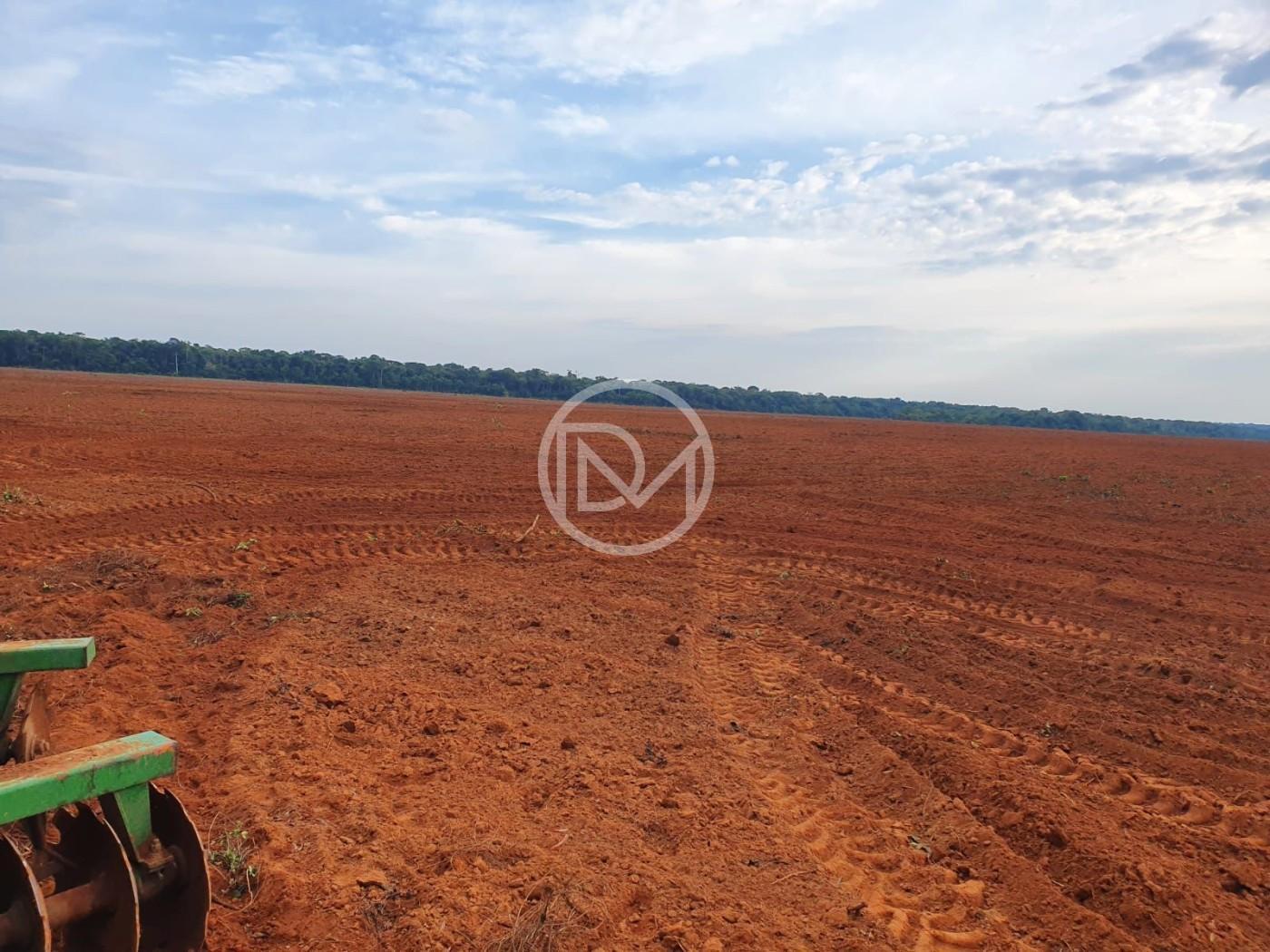 Fazenda, 2500 m² - Foto 2